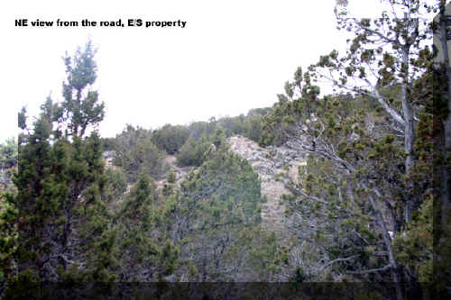 Hillside-1.jpg (101500 bytes)